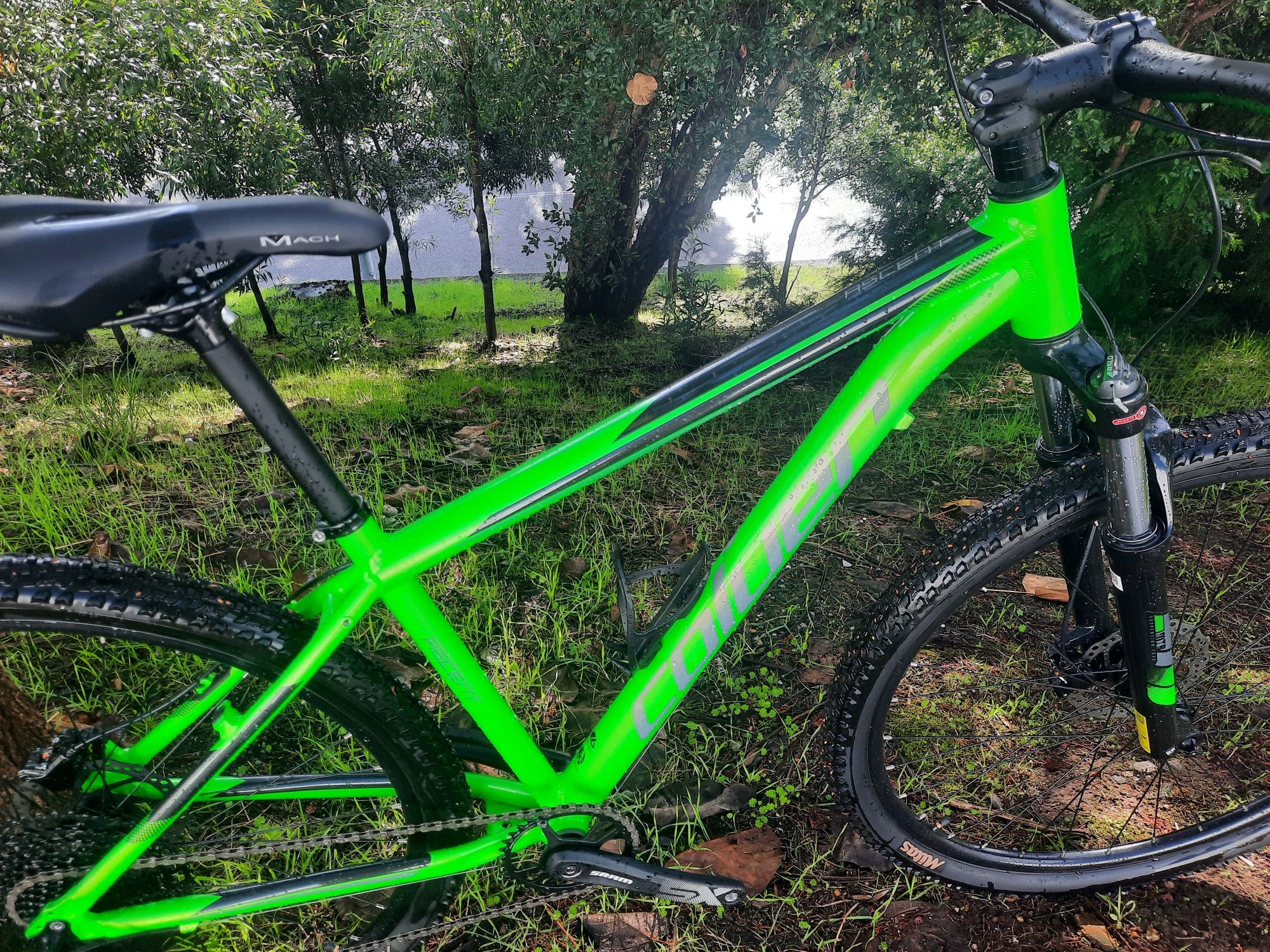 Btt 29 nova 12x1v oportunidadee