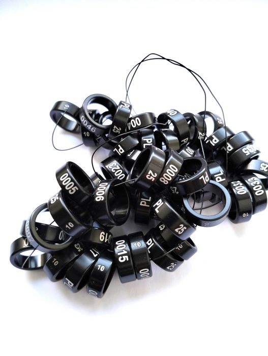 Obrączki aluminiowe dla papug 2025 czarne, obrączki stałe, rodowe