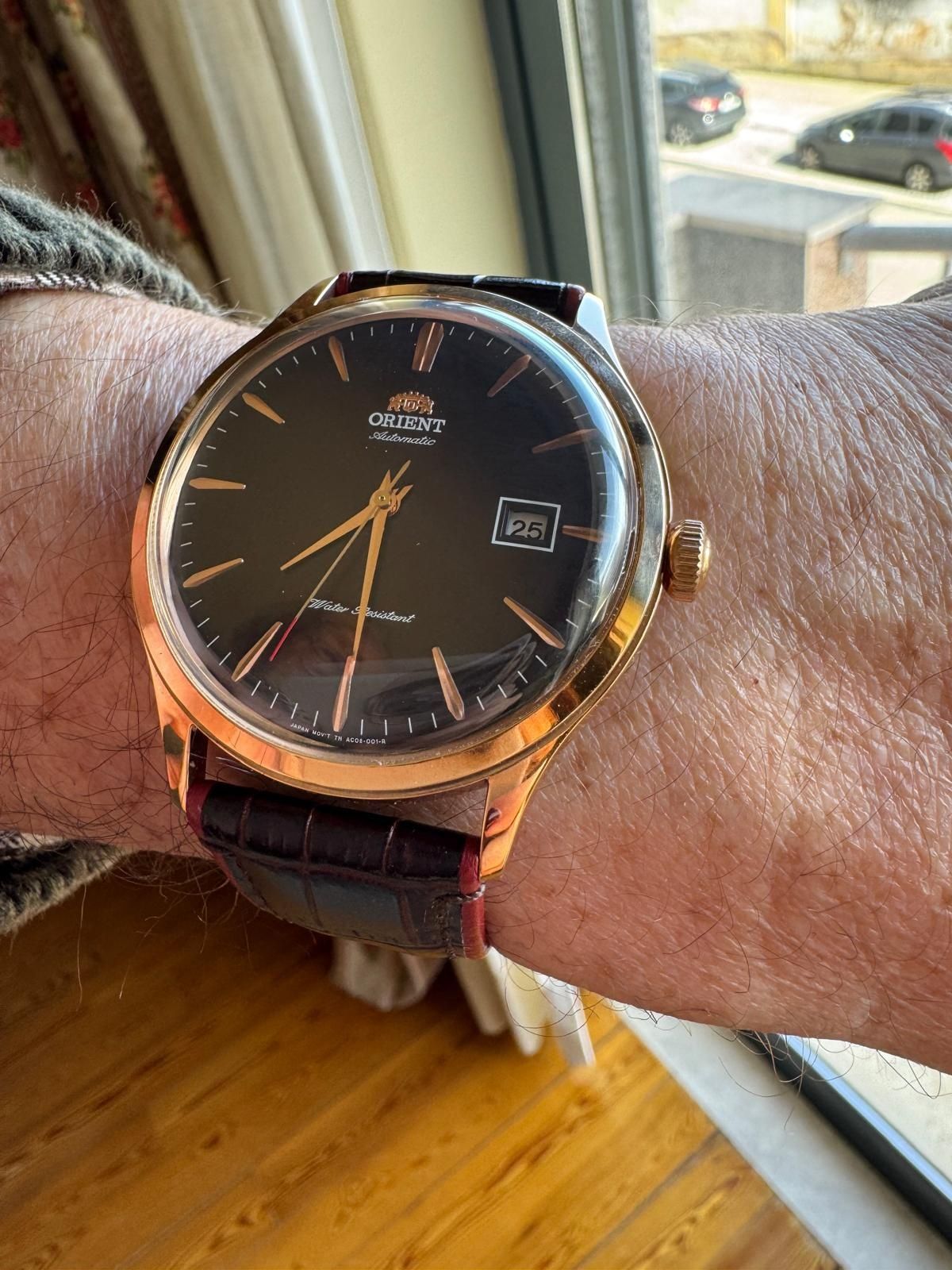 Orient Bambino Day