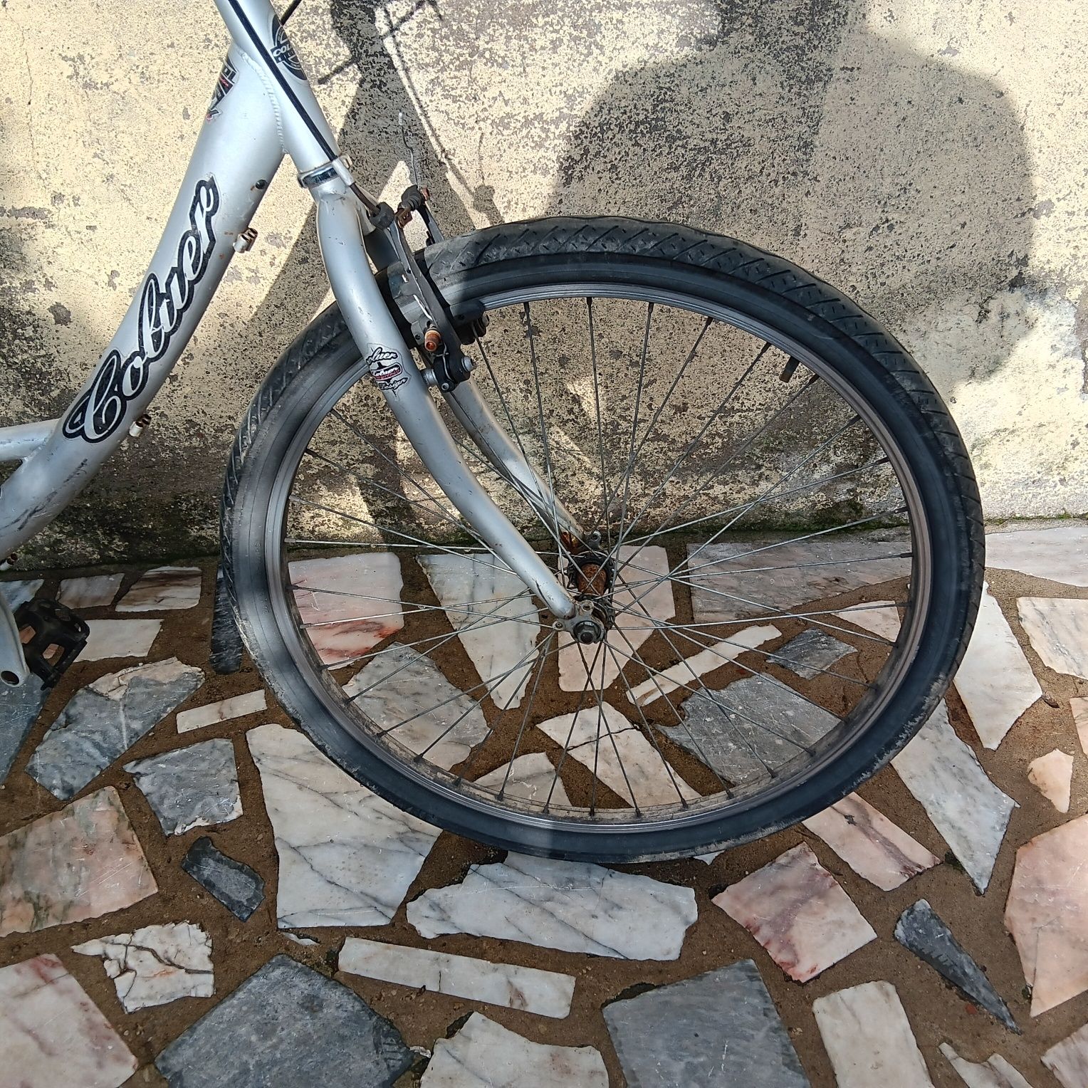 Bicicleta toda 26