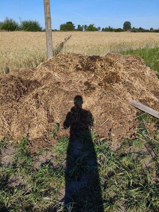 Koński nawóz obornik