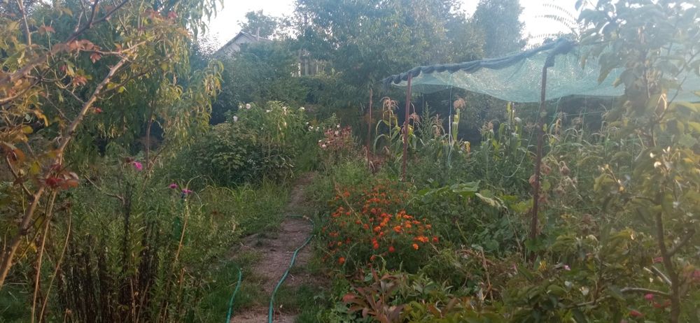 Продам дачу у ст Труд