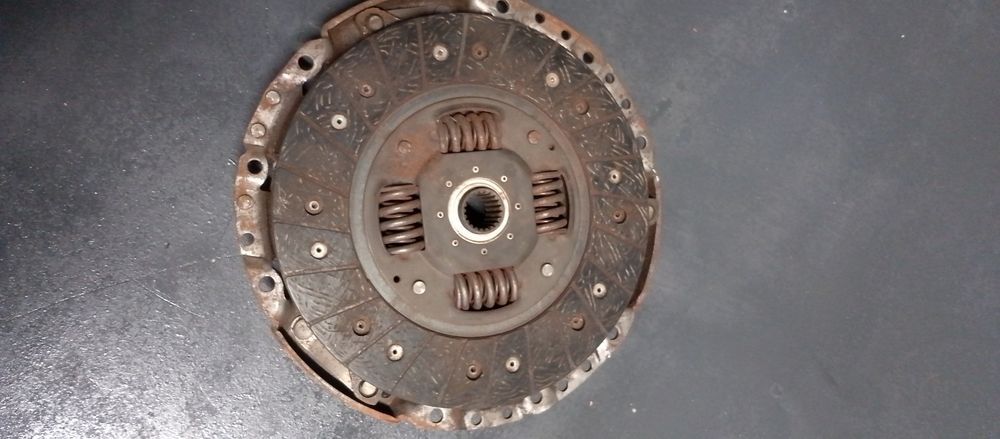 Продам щеплення віваро 1.9