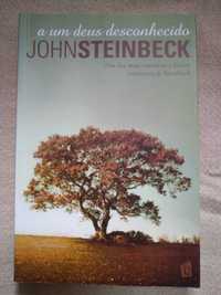 Livro A Um Deus Desconhecido de John Steinbeck
