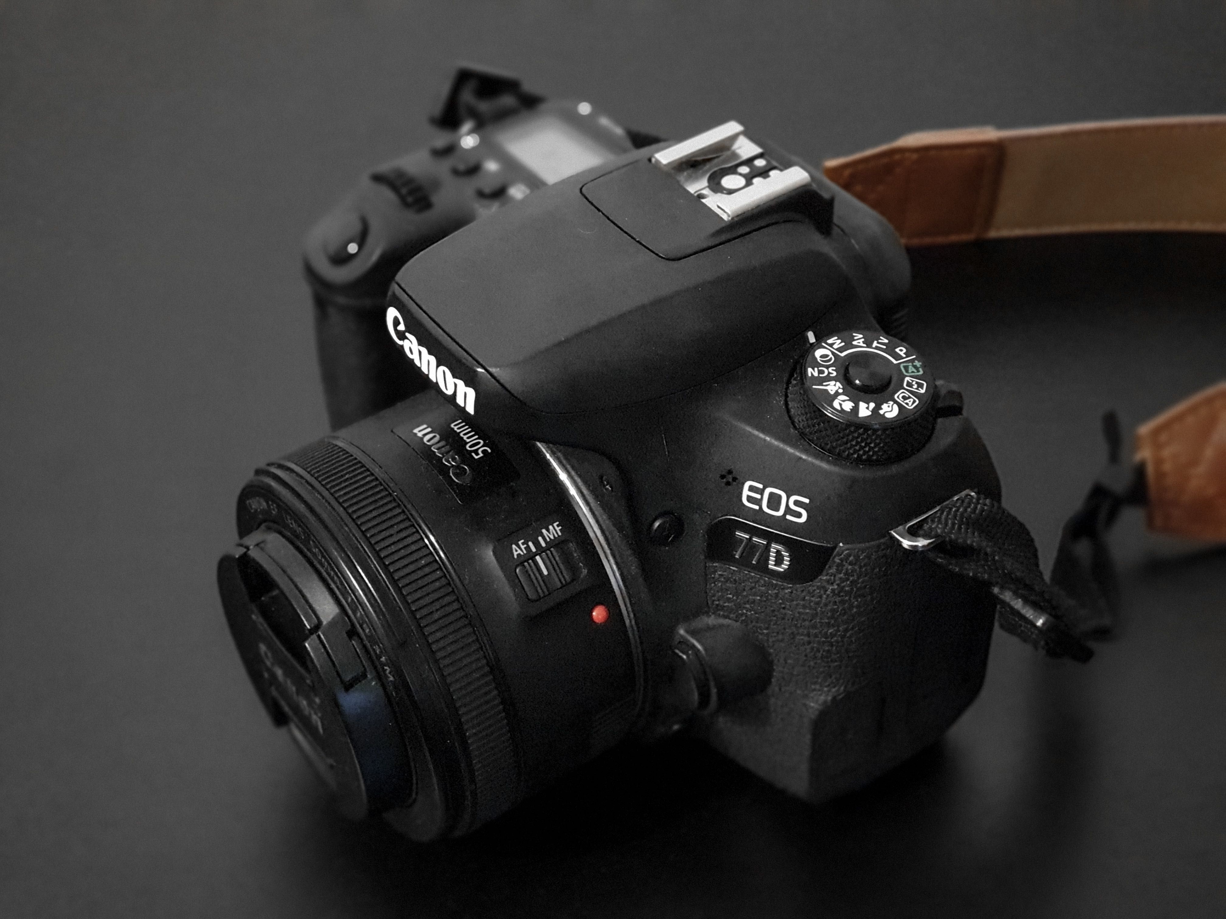 Canon EOS 77D z obiektywami