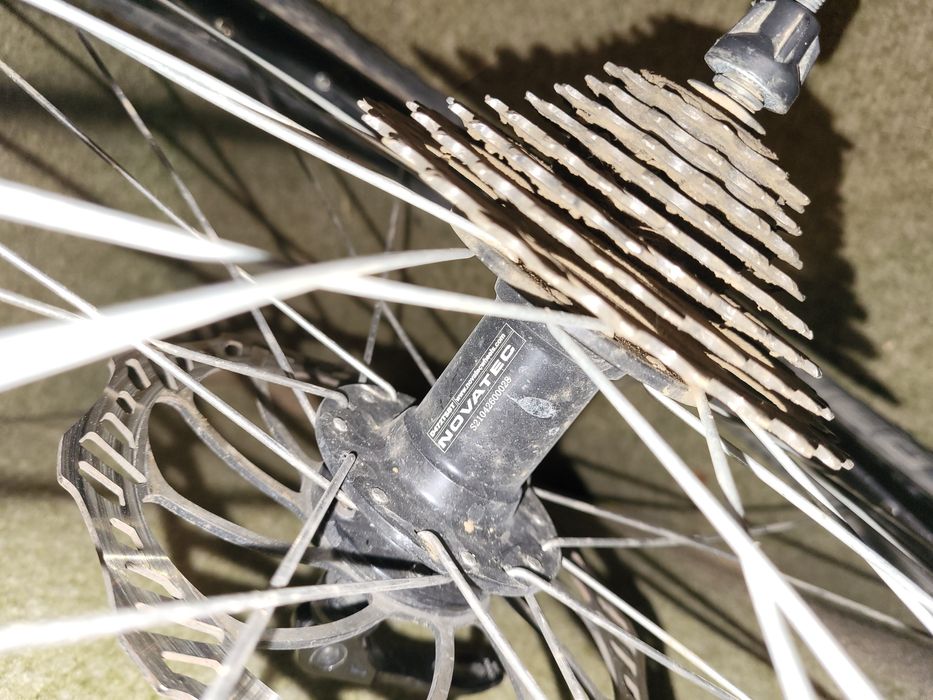 Виллсет кастом  27.5