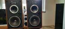 Kolumny głośnikowe ZGC 30 C 115 8 ohm 30W