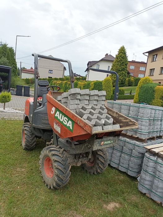 Wozidło wynajem minikoparka