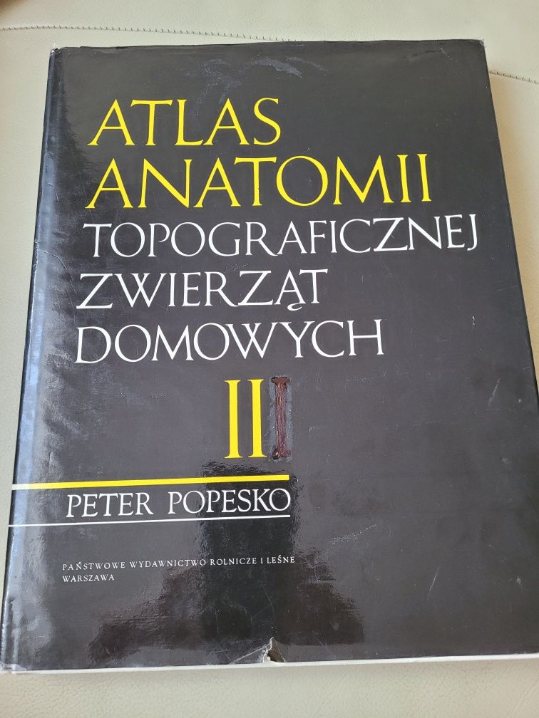 Atlas anatomii topograficznej zwierząt domowych  cz.2
