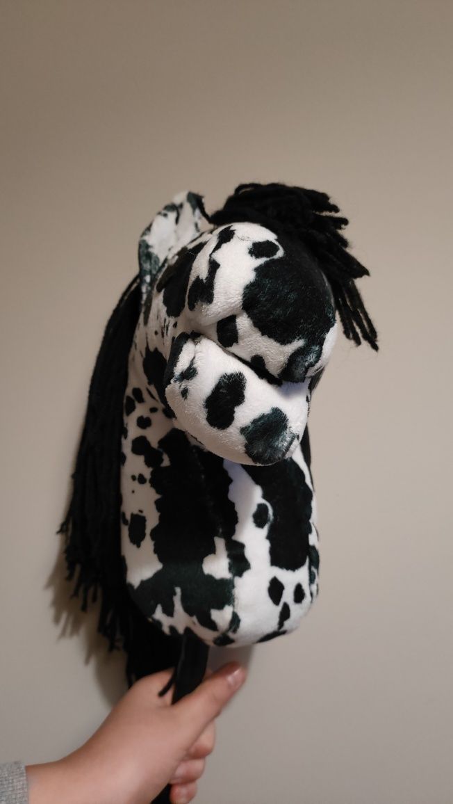 Konik hobby horse tarantowate A4