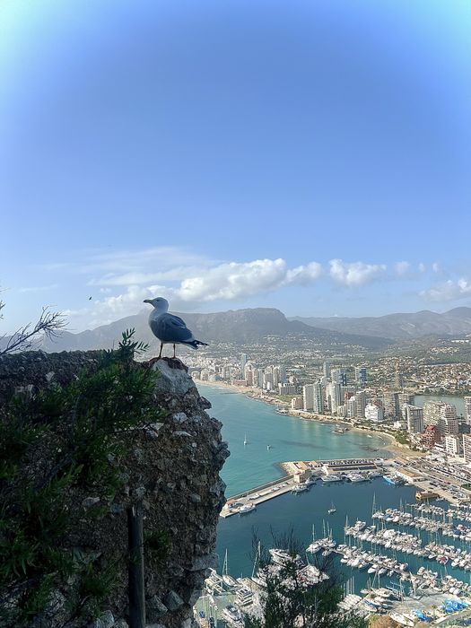 Зимняя аренда апартаментов в Кальпе, Коста Бланка