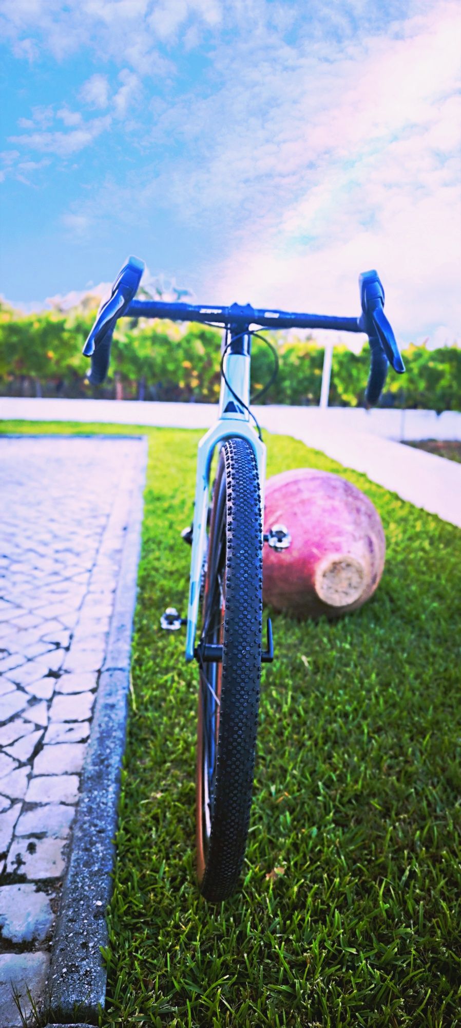Bicicleta Gravel Canyon Grizl CF SL 7 eTap