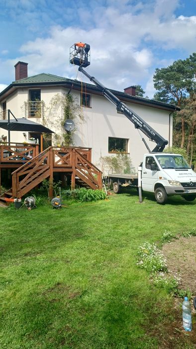 Podnośnik koszowy, wycinka drzew