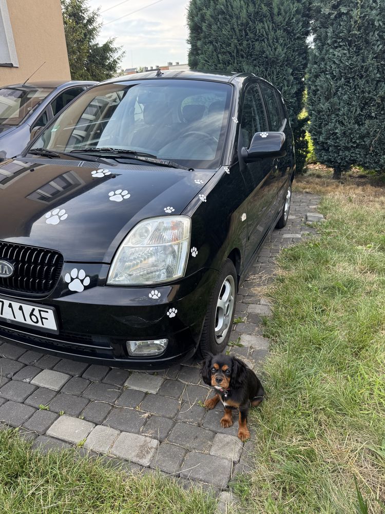 Samochód Kia picanto I