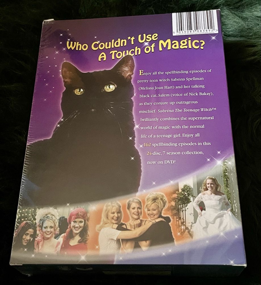 Sabrina The Teenage Witch: The Complete Enchanted Series