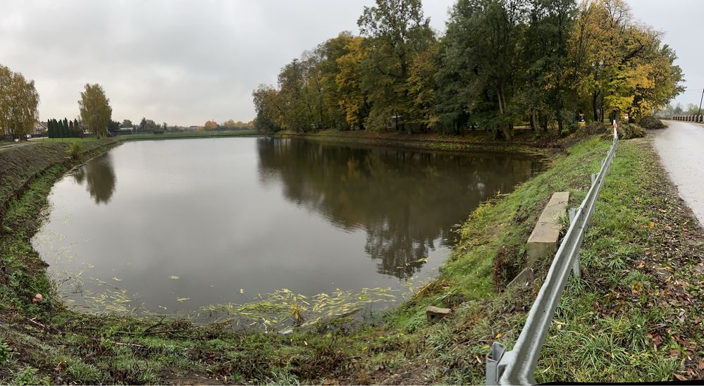 Oczyszczanie stawów akwenów wodnych oczek, odmulanie mulczowanie