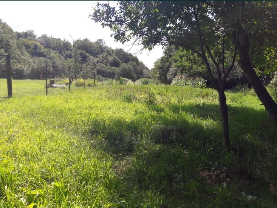 Ділянка в с.Оріховиця