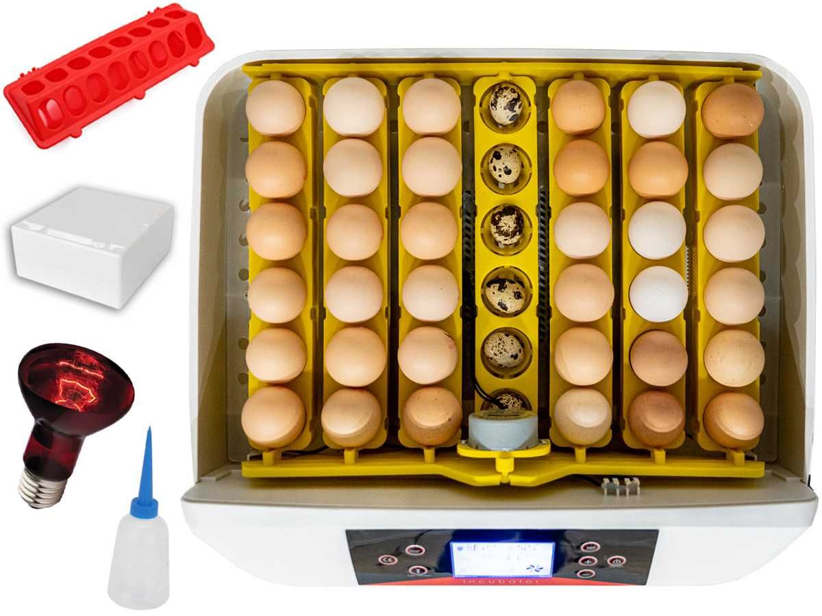 Automatyczny INKUBATOR Klujnik Wylęgarnia do 42 jaj 230V Instrukcja PL