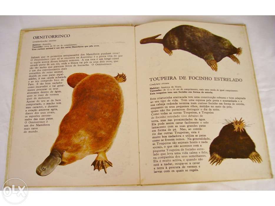 Livros Maravilhosos - Animais