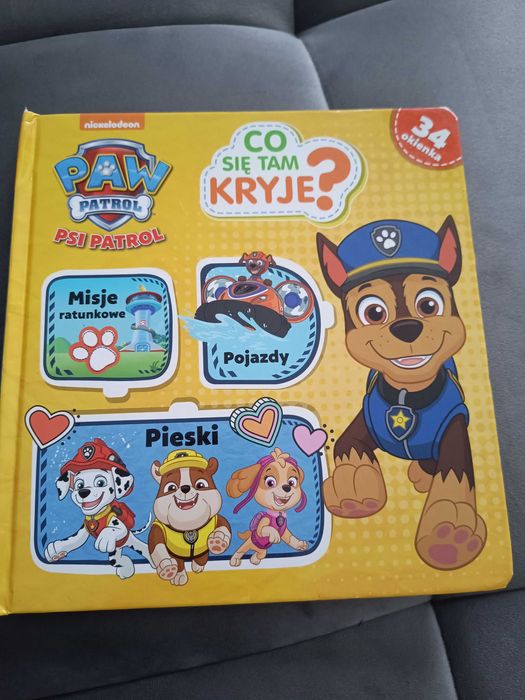 Psi Patrol. Co tam się kryje.
