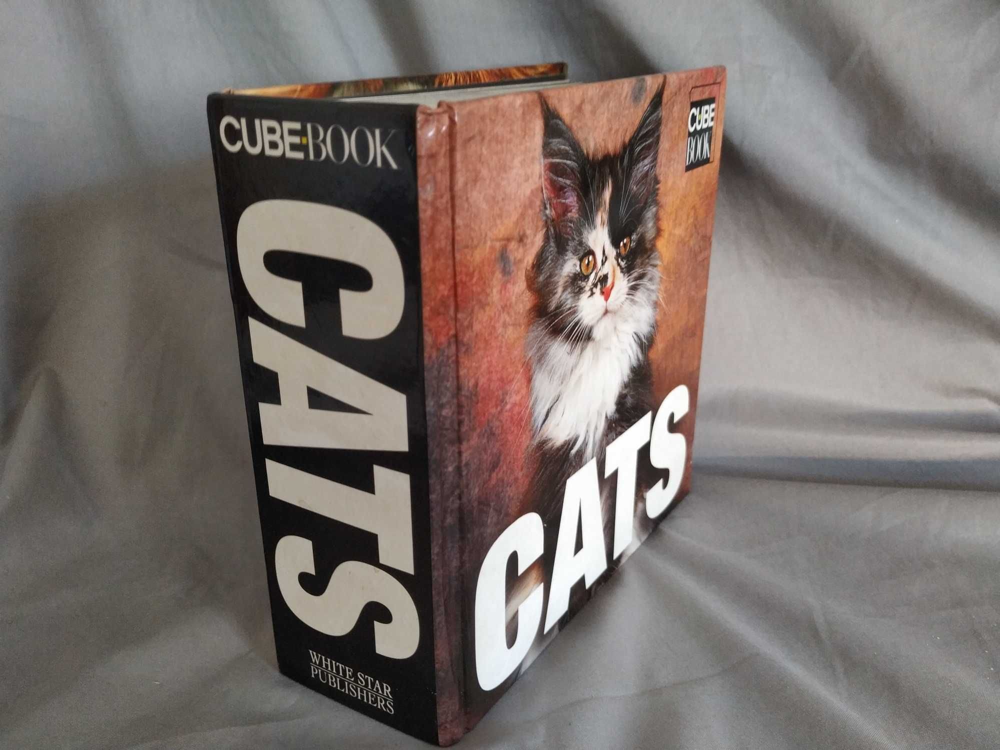 Livro - CATS da Cube Book