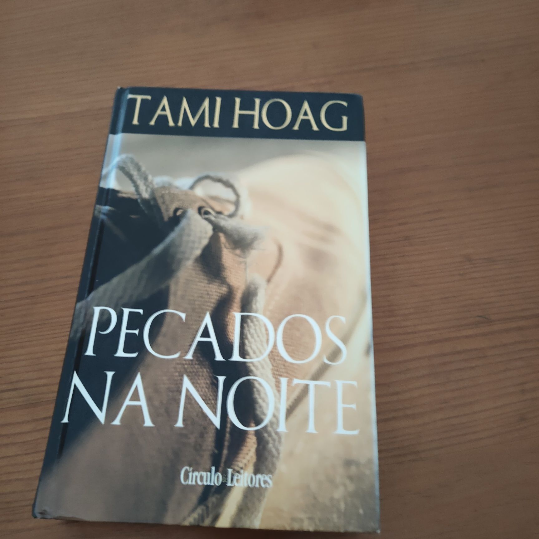 Pecado na Noite - Tami Hoag