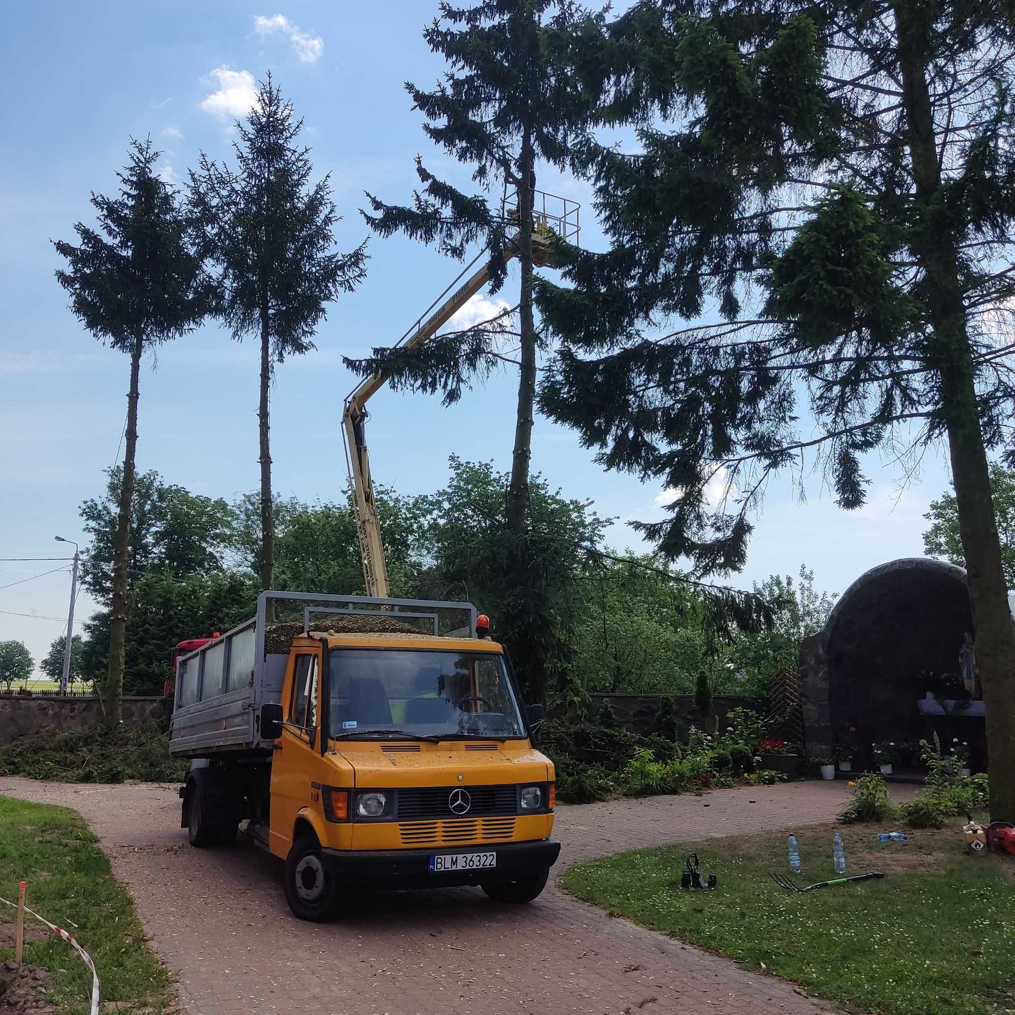 Podnośnik koszowy 30 m. Wycinka drzew. Frezowanie, usuwanie pni. Rębak