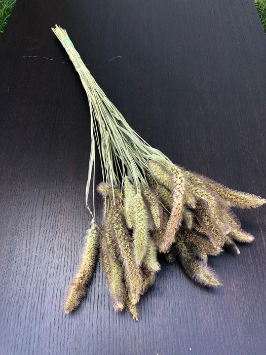 Suszona setaria włosnica proso naturalne