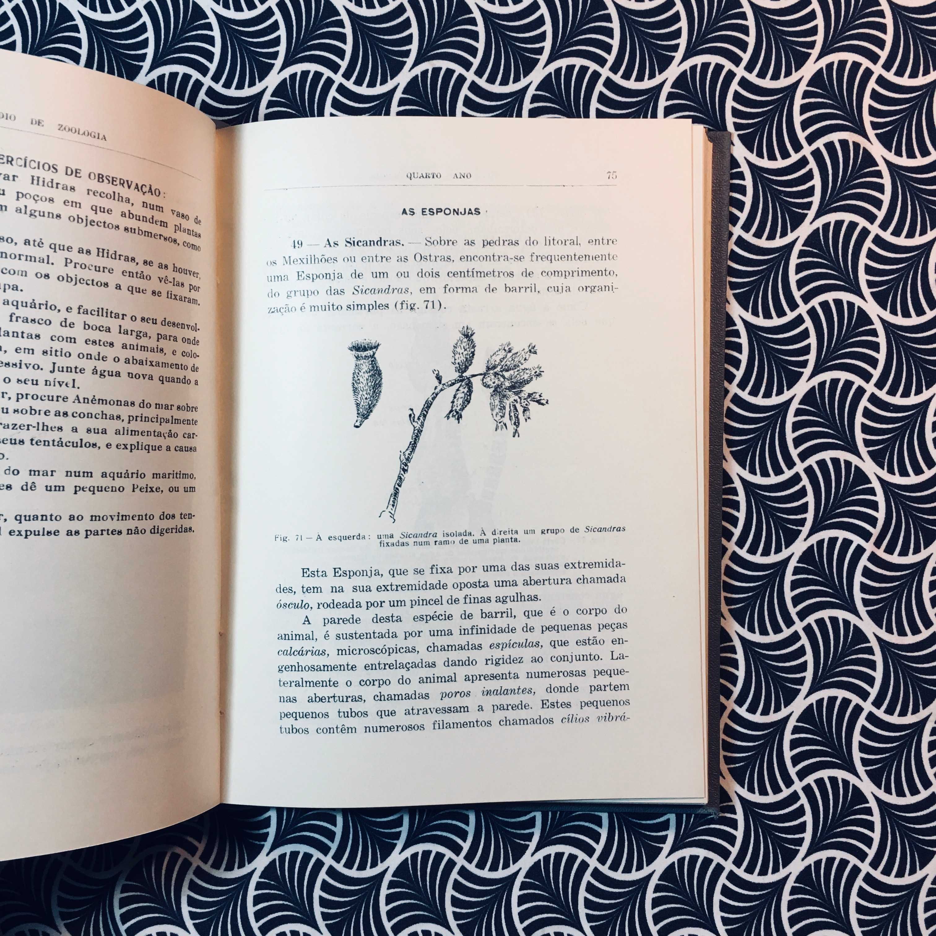 Compêndio de Zoologia - Augusto C. G. Soeiro