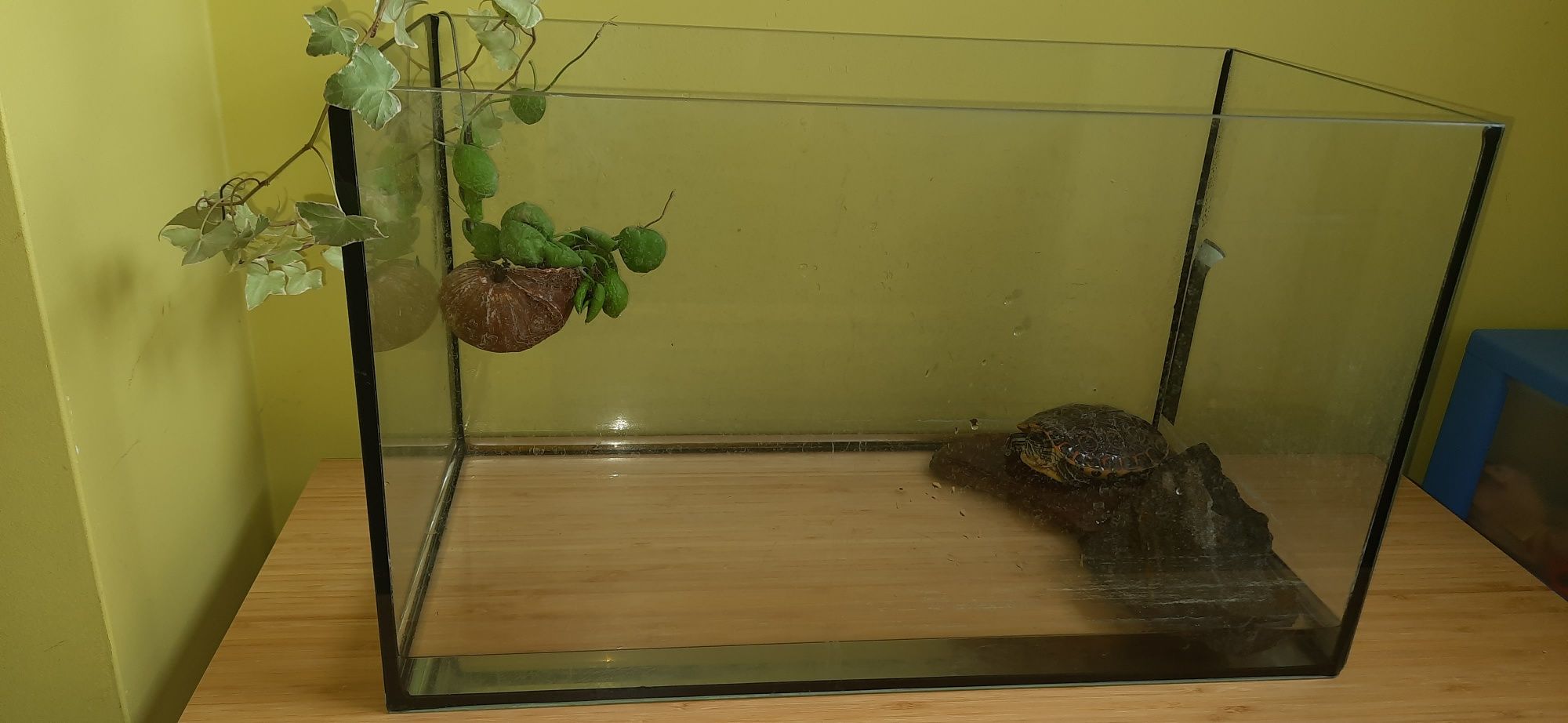 Sprzedam terrarium dla żółwia wodno lądowego