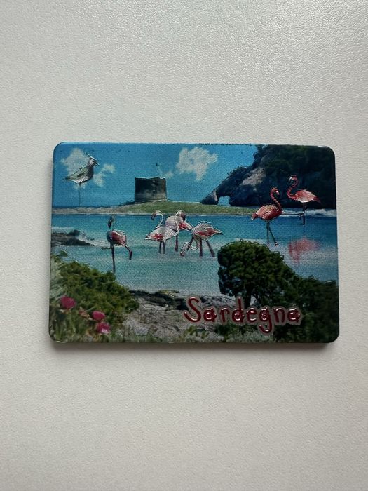 Magnes na lodówkę Sardynia