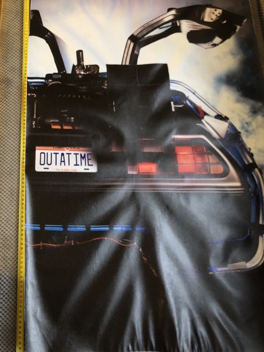 Plakat obraz na płótnie roz..60x90cmz filmu Powrót do Przyszłości