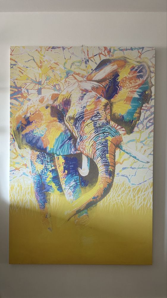 Tela 180x120 Elefante (sem estrutura)