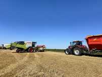 Zbiór zbóż Claas Trion 640