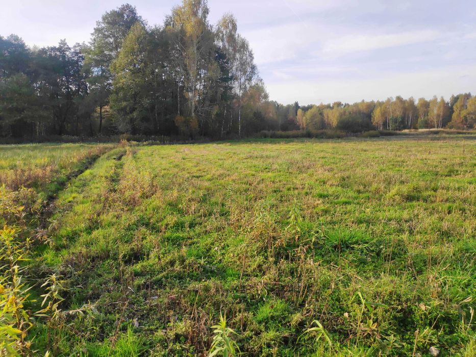 Działka rolno-budowlana Waryś/Borzęcin