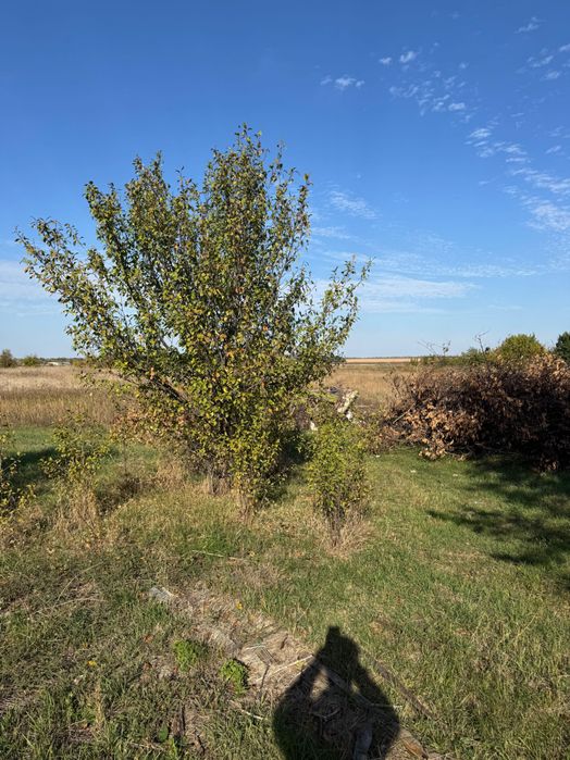 Продаж земельної ділянки м. Підгородне (вул. Шосейна)