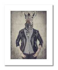 plakat vintage zebra 40x50