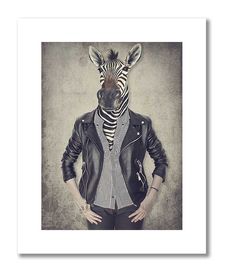 plakat vintage zebra 40x50