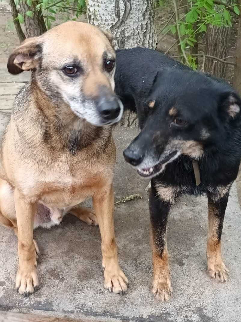 Rubi i Niko - przecież ktoś tam na nich czeka prawda?