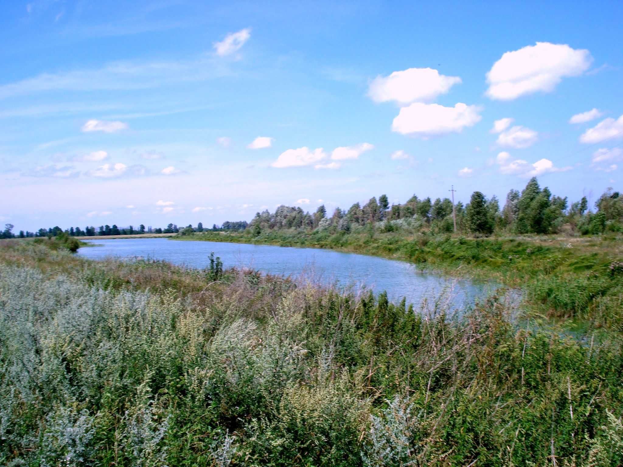 Продам від 1,6-10 ГА біля заповідника с Літки