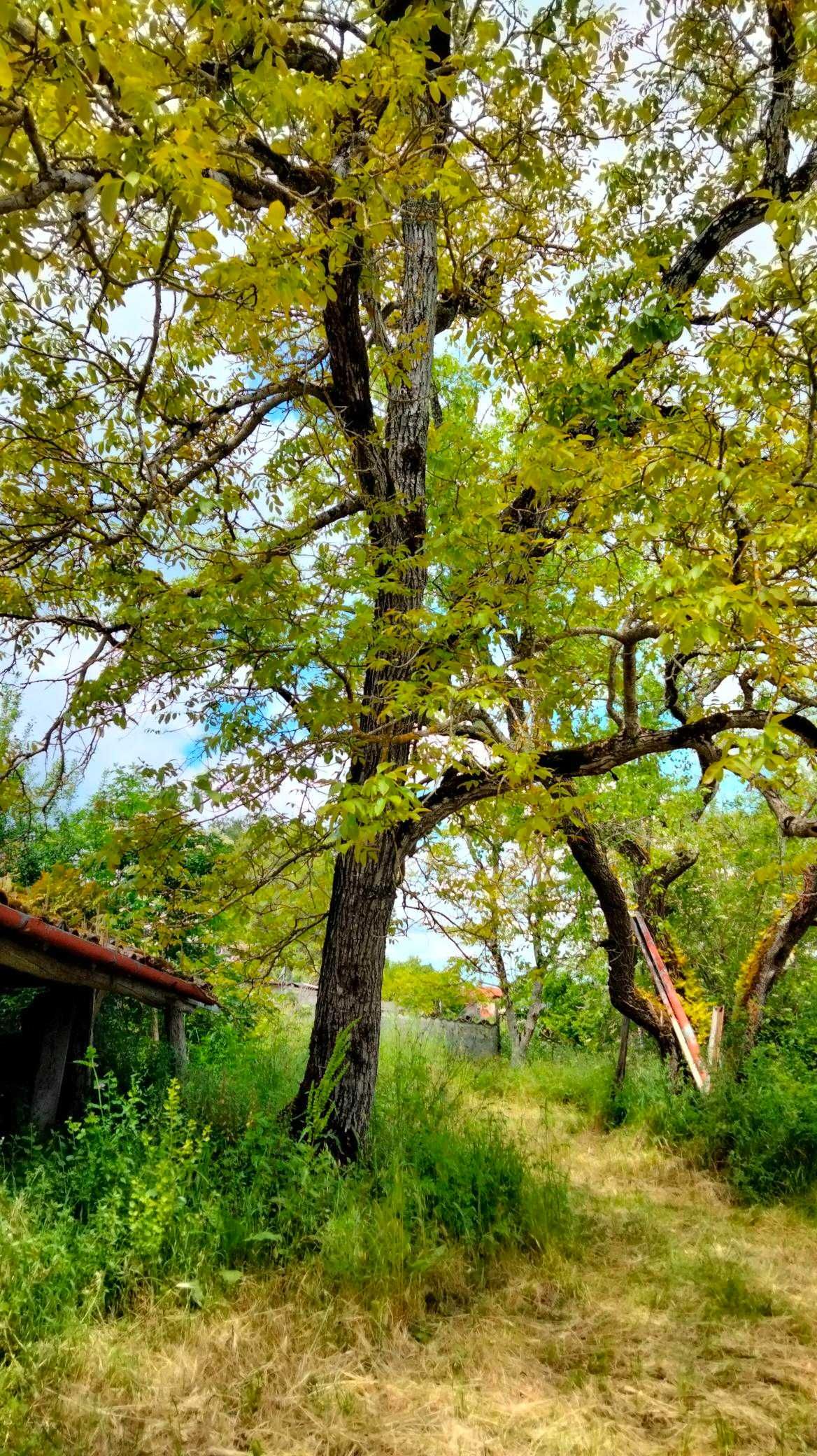 Pequena quinta junto à cidade de Pombal