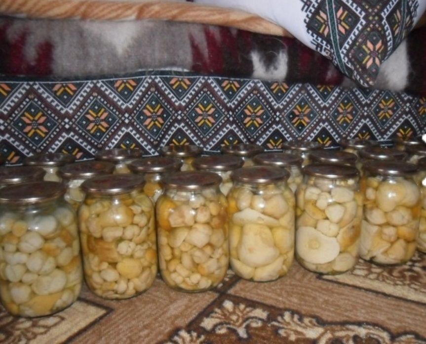 Мариновані білі гриби