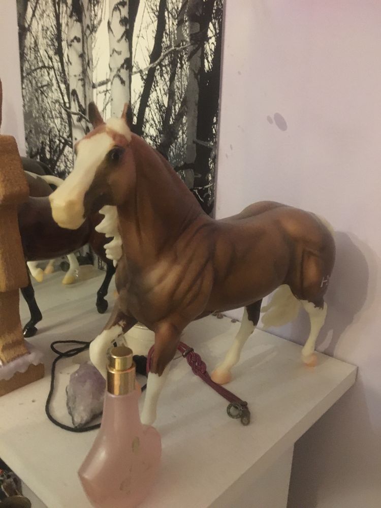 Breyer Czesio Big Chex to cash