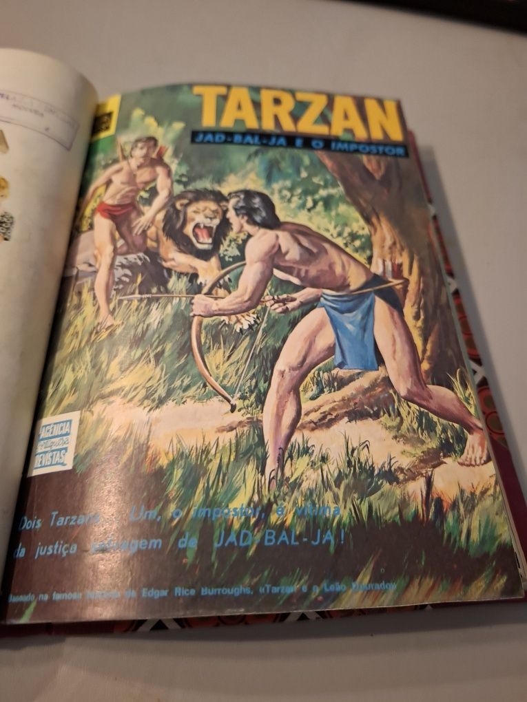 Revistas tarzan encadernado