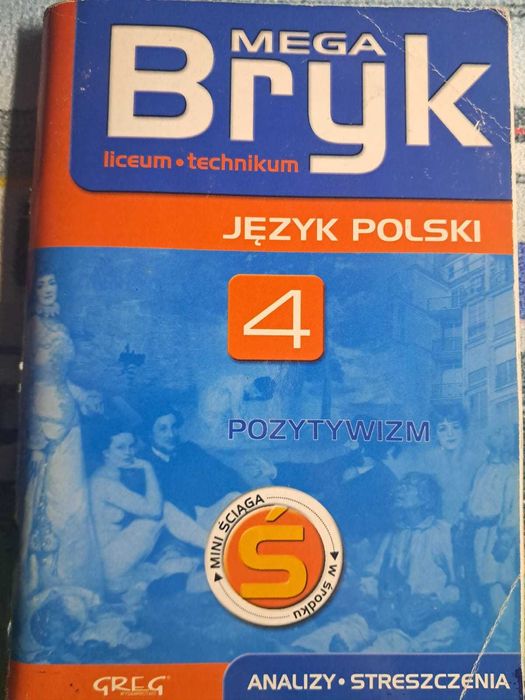 Mega Bryk liceum i technikum 4
