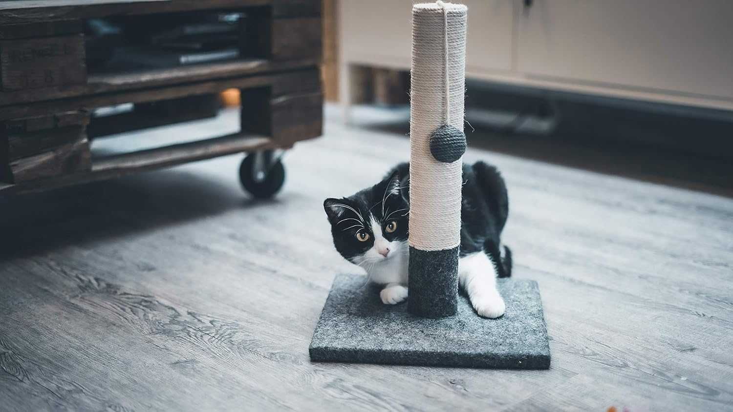 Poste arranhador para gato com bola para brincar - 30 x 42 cm