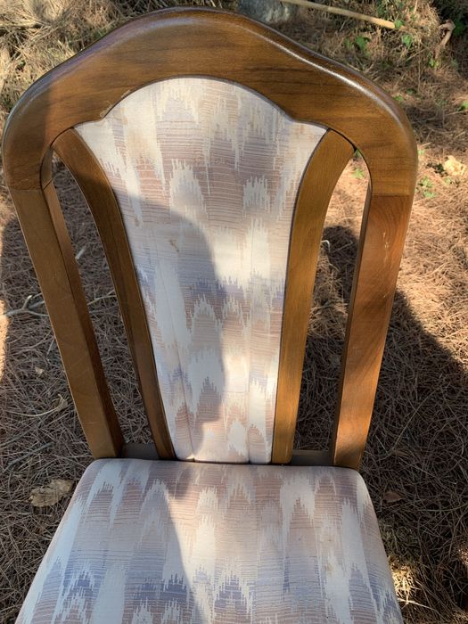 Cadeiras almofadadas conjunto 6