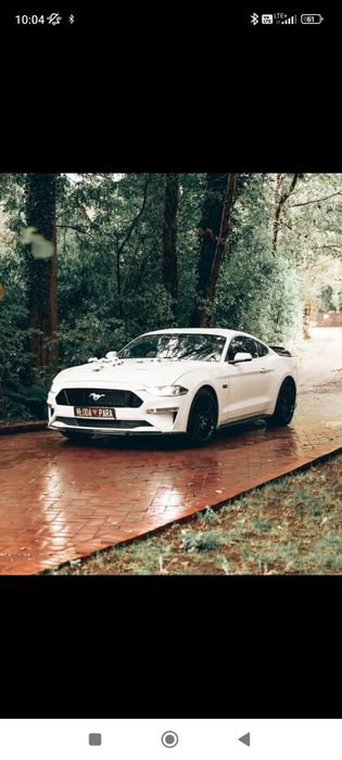 Auto Samochód Mustang 6 gen V8 do ślubu na wesele