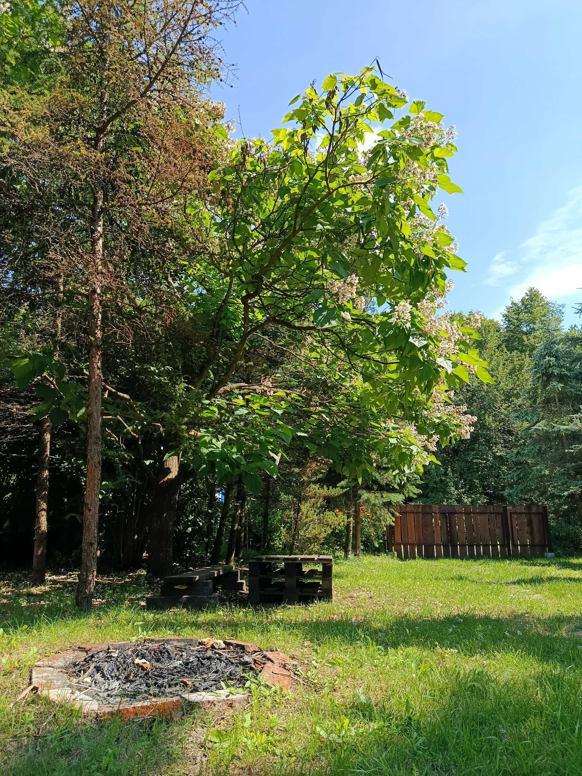 Apartament 2-4 osobowy, stary dom na roztoczu. Wolne terminy