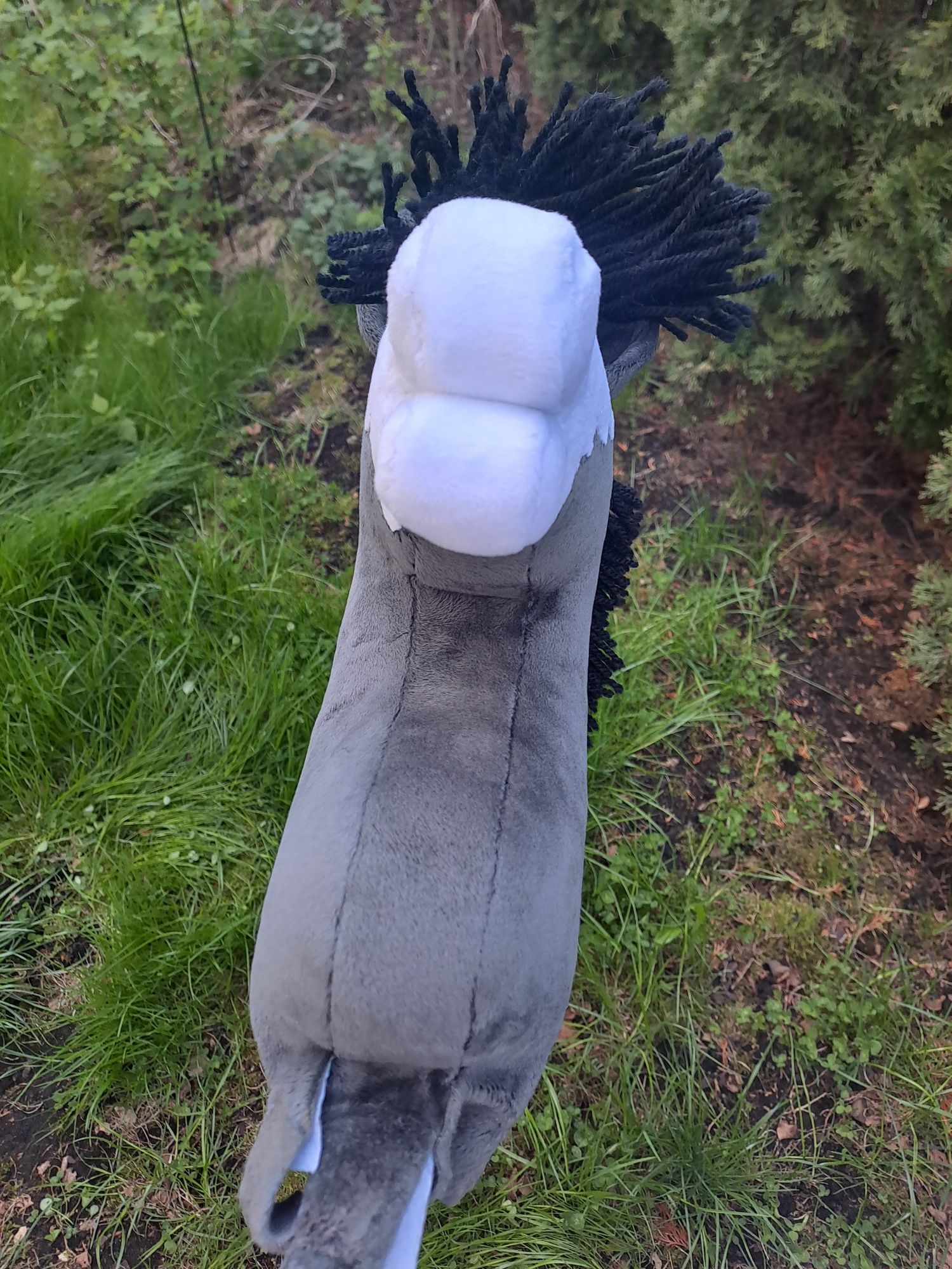 Hobby horse myszaty